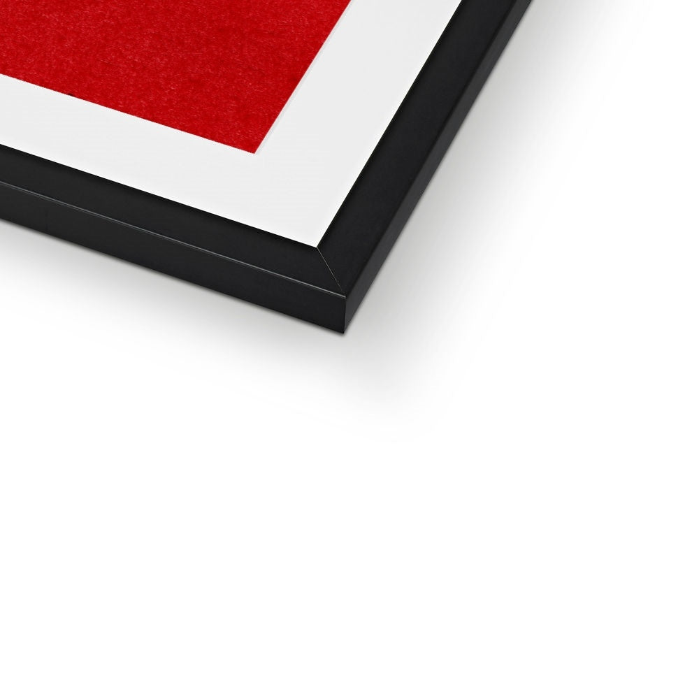 HUMAN FLY Framed & Mounted Print
