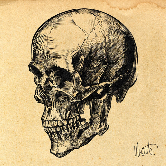 SKULL ART