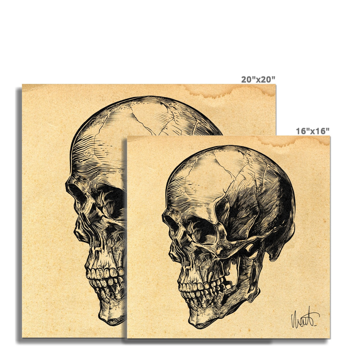 Impression d’art SKULL